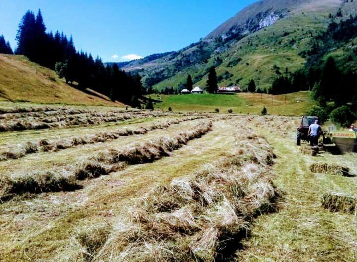 普拉夫Isov Ranch别墅 外观 照片