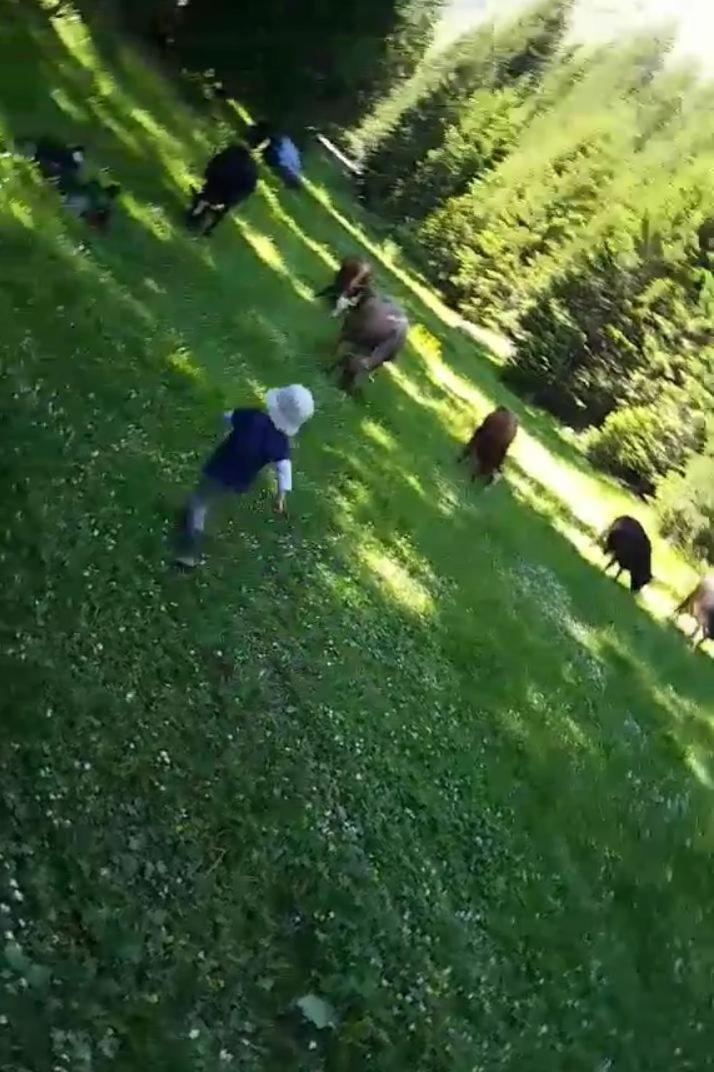 普拉夫Isov Ranch别墅 外观 照片