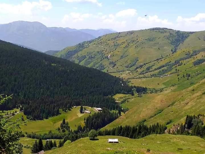 普拉夫Isov Ranch别墅 外观 照片