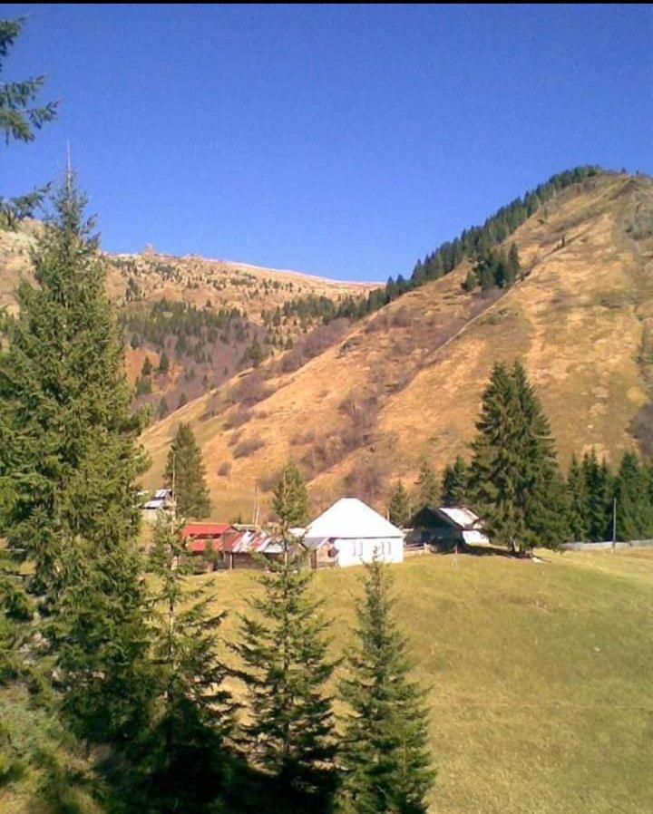 普拉夫Isov Ranch别墅 外观 照片